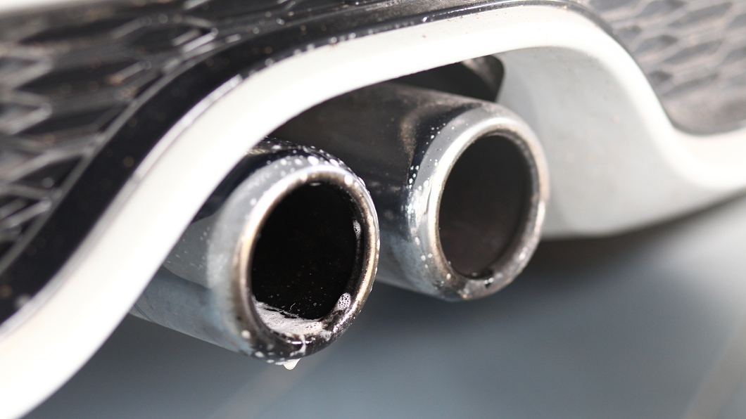 lestenka na kovy dodo juice