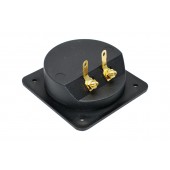 ACV hangszóró terminál