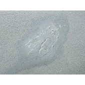 Colourlock GLD Stift korrekciós toll 40 ml