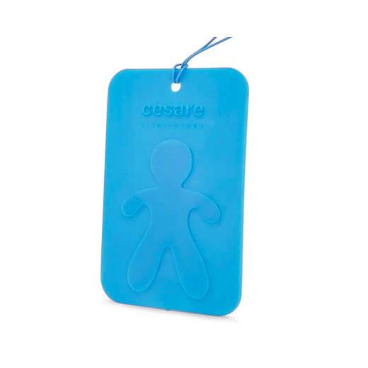 Mr&Mrs Fragrance Cesare Scented Card New Car lógó illat