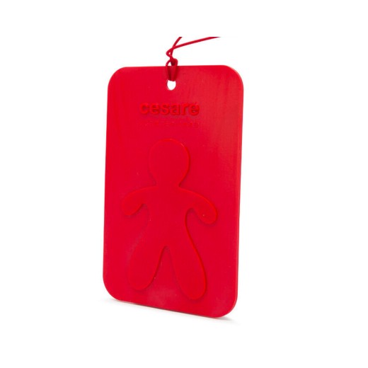 Mr&Mrs Fragrance Cesare Scented Card Peppermint lógó illat